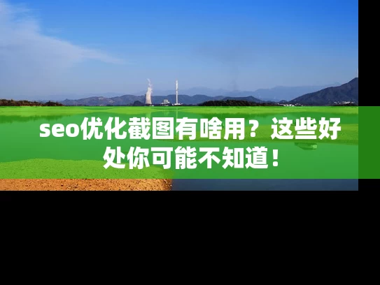 seo优化截图有啥用？这些好处你可能不知道！