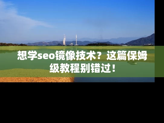 想学seo镜像技术？这篇保姆级教程别错过！