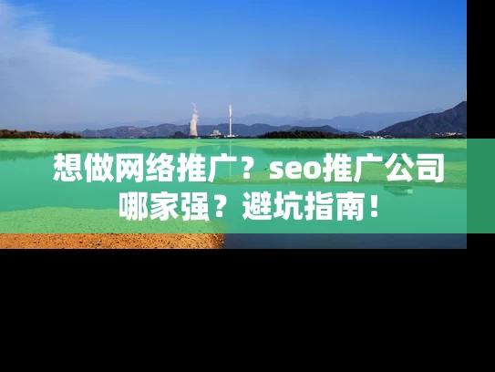 想做网络推广？seo推广公司哪家强？避坑指南！