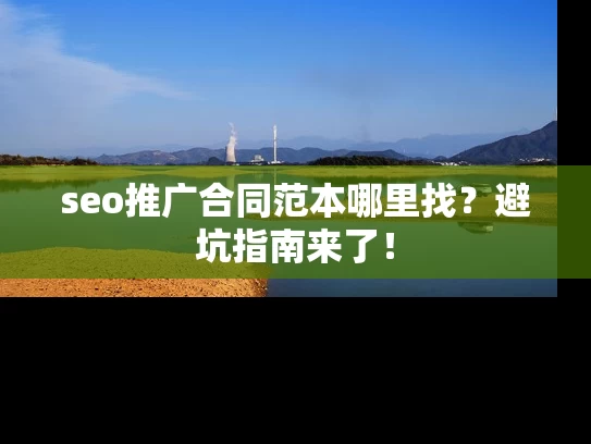 seo推广合同范本哪里找？避坑指南来了！