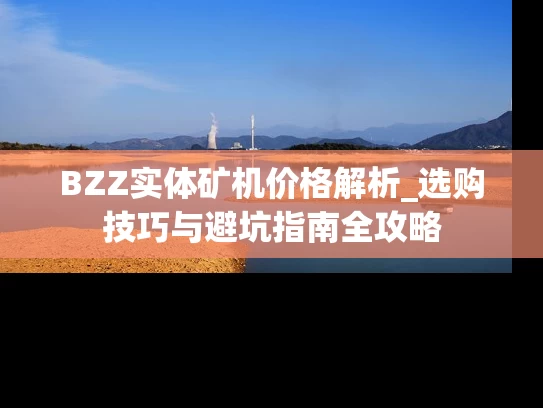 BZZ实体矿机价格解析_选购技巧与避坑指南全攻略