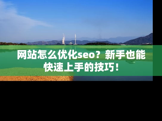 网站怎么优化seo？新手也能快速上手的技巧！