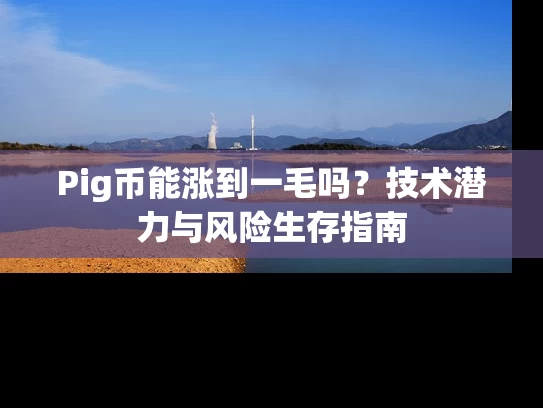 Pig币能涨到一毛吗？技术潜力与风险生存指南