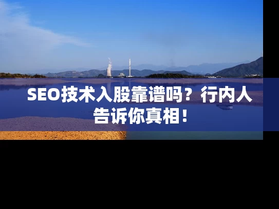 SEO技术入股靠谱吗？行内人告诉你真相！