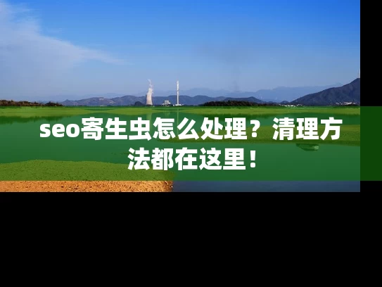seo寄生虫怎么处理？清理方法都在这里！