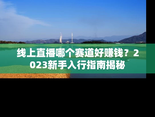 线上直播哪个赛道好赚钱？2023新手入行指南揭秘