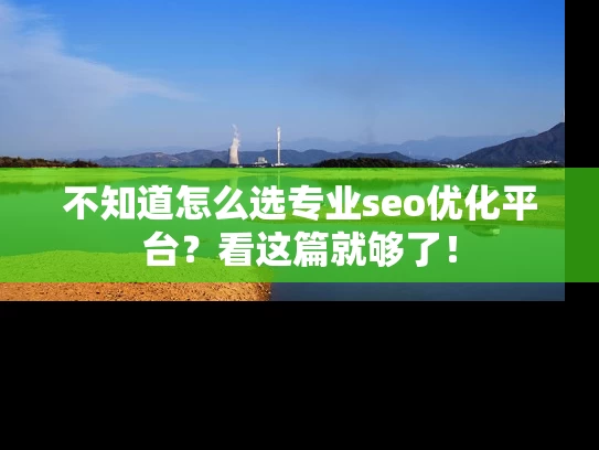 不知道怎么选专业seo优化平台？看这篇就够了！