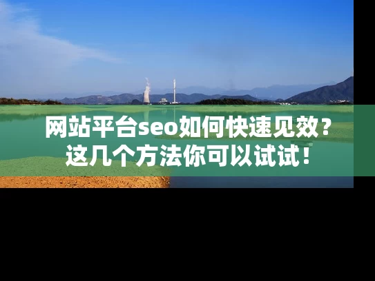 网站平台seo如何快速见效？这几个方法你可以试试！