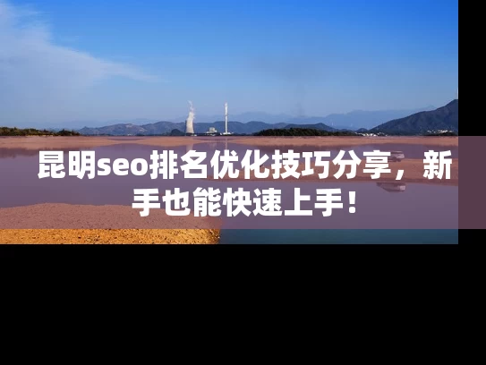 昆明seo排名优化技巧分享，新手也能快速上手！