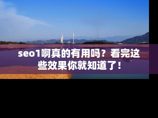 seo1啊真的有用吗？看完这些效果你就知道了！