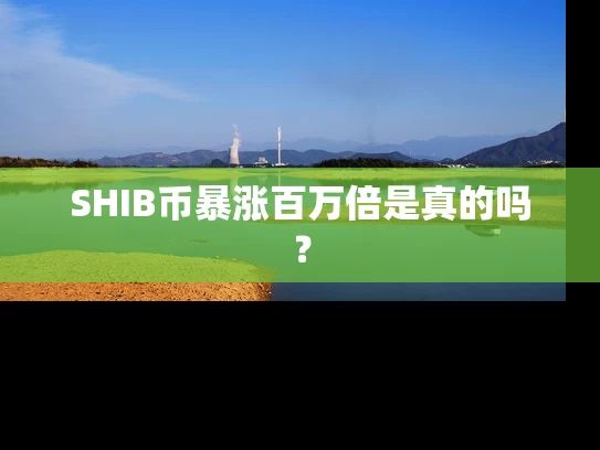 SHIB币暴涨百万倍是真的吗？