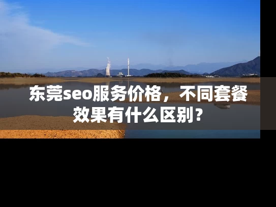 东莞seo服务价格，不同套餐效果有什么区别？