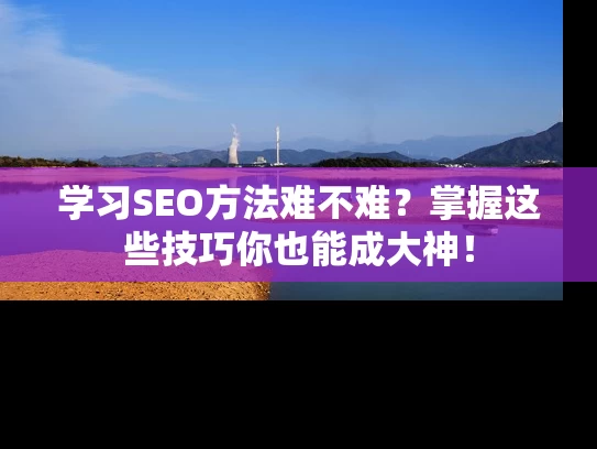学习SEO方法难不难？掌握这些技巧你也能成大神！
