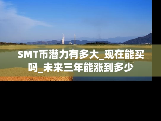 SMT币潜力有多大_现在能买吗_未来三年能涨到多少