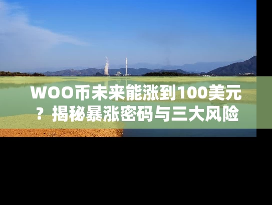 WOO币未来能涨到100美元？揭秘暴涨密码与三大风险