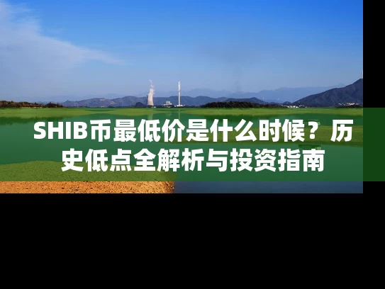 SHIB币最低价是什么时候？历史低点全解析与投资指南