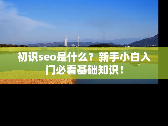 初识seo是什么？新手小白入门必看基础知识！