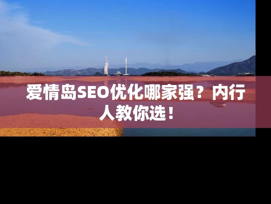 爱情岛SEO优化哪家强？内行人教你选！