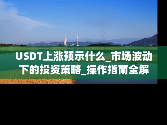 USDT上涨预示什么_市场波动下的投资策略_操作指南全解析