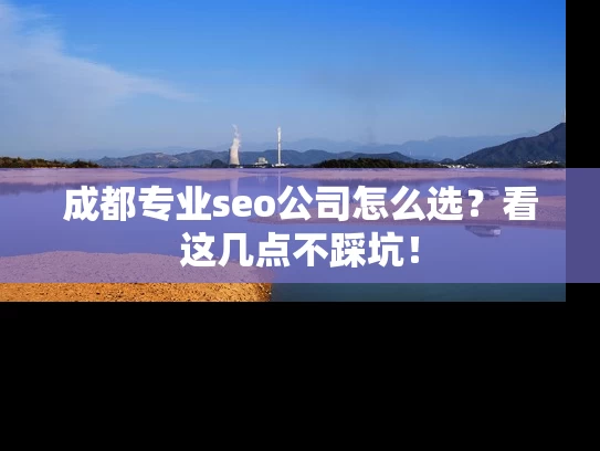 成都专业seo公司怎么选？看这几点不踩坑！