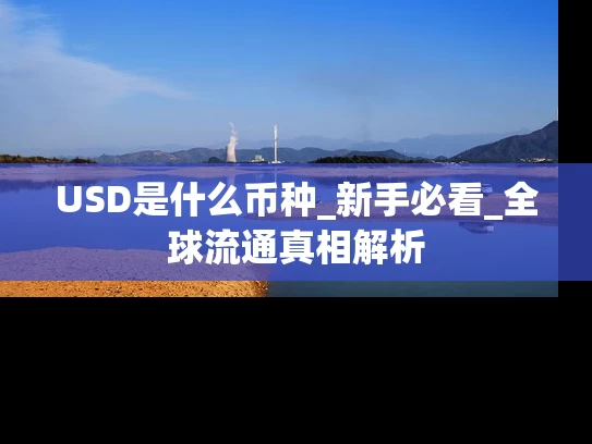 USD是什么币种_新手必看_全球流通真相解析