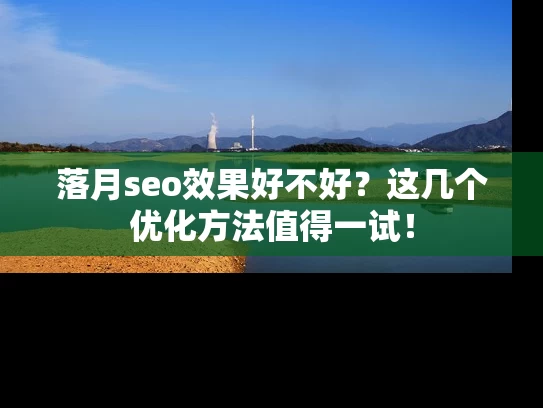 落月seo效果好不好？这几个优化方法值得一试！