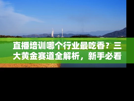 直播培训哪个行业最吃香？三大黄金赛道全解析，新手必看指南