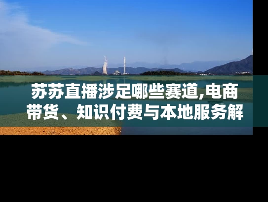 苏苏直播涉足哪些赛道,电商带货、知识付费与本地服务解析