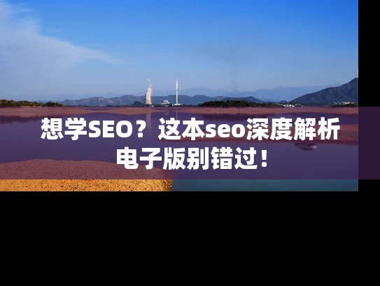 想学SEO？这本seo深度解析电子版别错过！