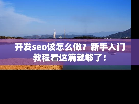 开发seo该怎么做？新手入门教程看这篇就够了！
