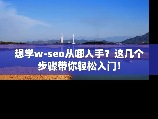 想学w-seo从哪入手？这几个步骤带你轻松入门！