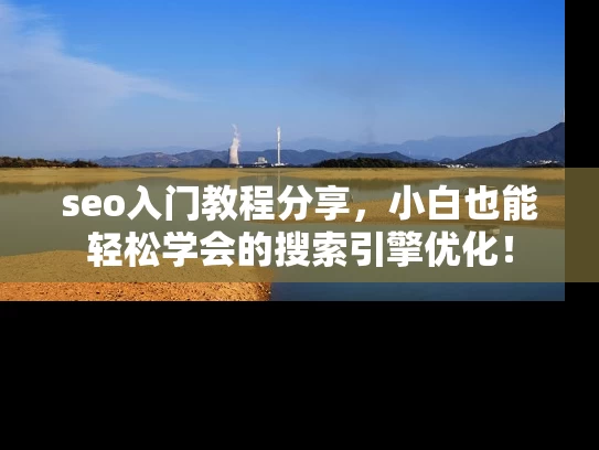 seo入门教程分享，小白也能轻松学会的搜索引擎优化！