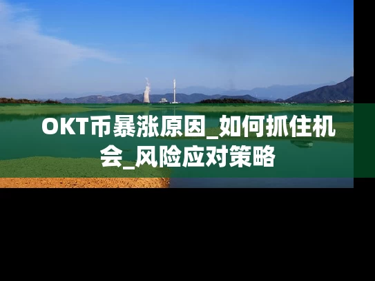 OKT币暴涨原因_如何抓住机会_风险应对策略