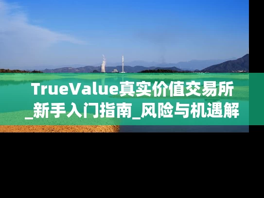 TrueValue真实价值交易所_新手入门指南_风险与机遇解析