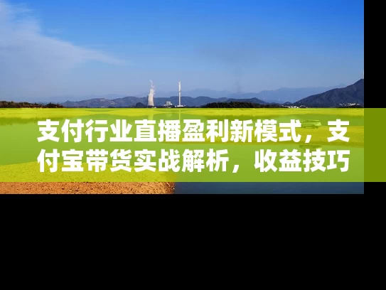 支付行业直播盈利新模式，支付宝带货实战解析，收益技巧全拆解