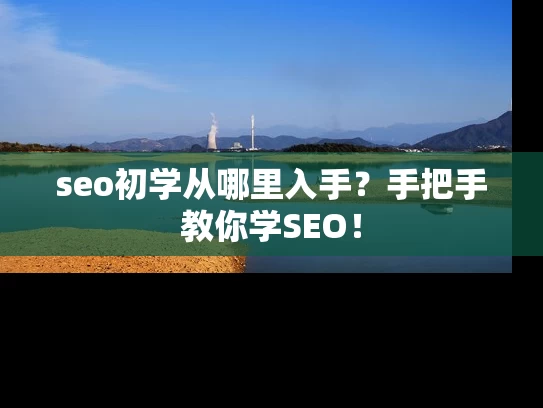 seo初学从哪里入手？手把手教你学SEO！