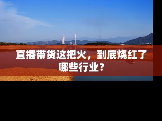 直播带货这把火，到底烧红了哪些行业？