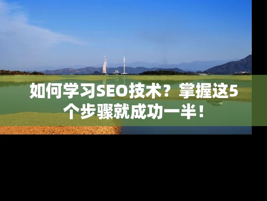 如何学习SEO技术？掌握这5个步骤就成功一半！