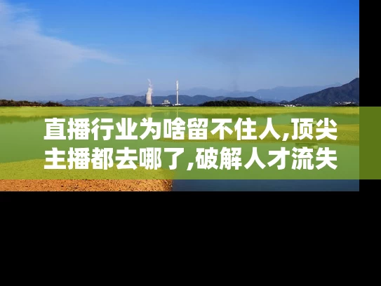 直播行业为啥留不住人,顶尖主播都去哪了,破解人才流失困局