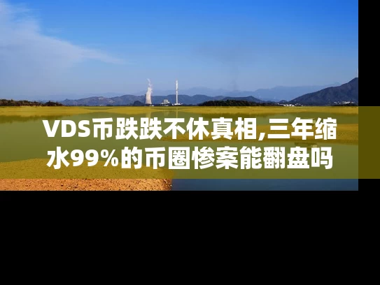 VDS币跌跌不休真相,三年缩水99%的币圈惨案能翻盘吗