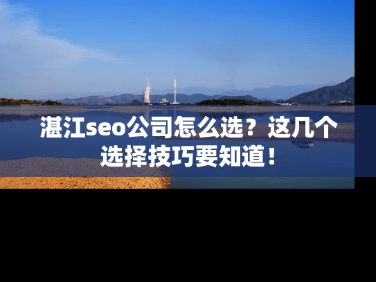湛江seo公司怎么选？这几个选择技巧要知道！