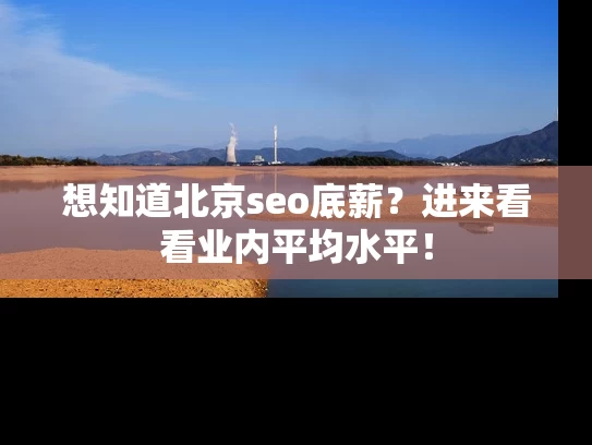 想知道北京seo底薪？进来看看业内平均水平！