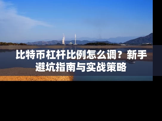 比特币杠杆比例怎么调？新手避坑指南与实战策略