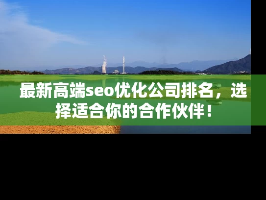 最新高端seo优化公司排名，选择适合你的合作伙伴！