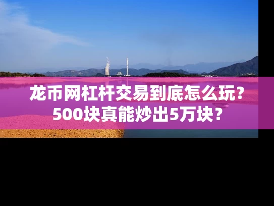 龙币网杠杆交易到底怎么玩？500块真能炒出5万块？