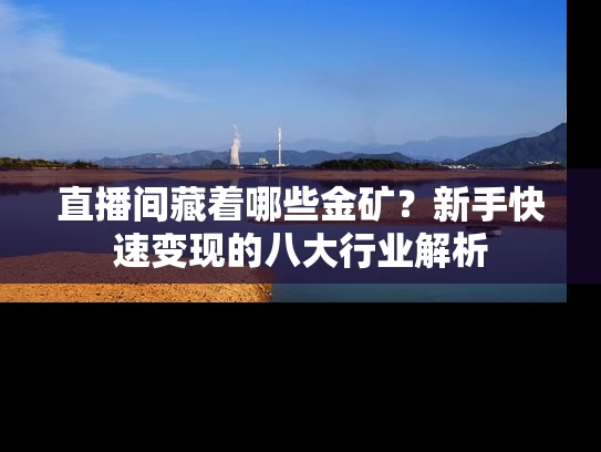 直播间藏着哪些金矿？新手快速变现的八大行业解析