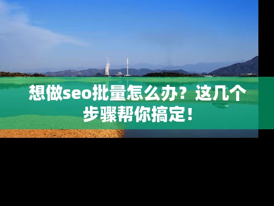 想做seo批量怎么办？这几个步骤帮你搞定！