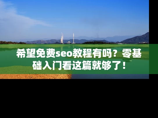 希望免费seo教程有吗？零基础入门看这篇就够了！