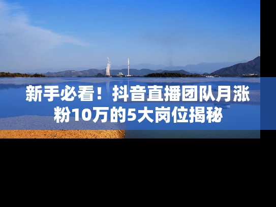 新手必看！抖音直播团队月涨粉10万的5大岗位揭秘