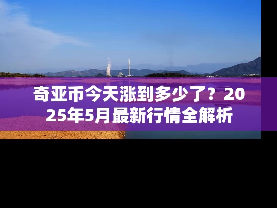奇亚币今天涨到多少了？2025年5月最新行情全解析